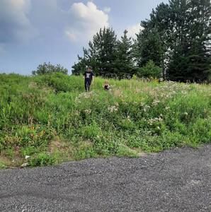 Meet your Posher, Maxine